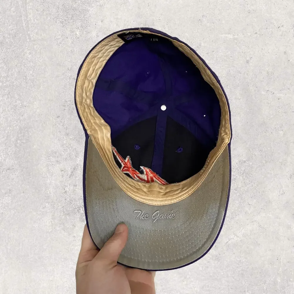 Vintage 90s Minor League Baseball Hat OSFA Purple Embroidered Logo The Game Pro - Picture 5 of 9